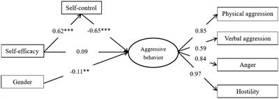 The Relationship Between Self-Efficacy and Aggressive Behavior in Boxers: The Mediating Role of Self-Control